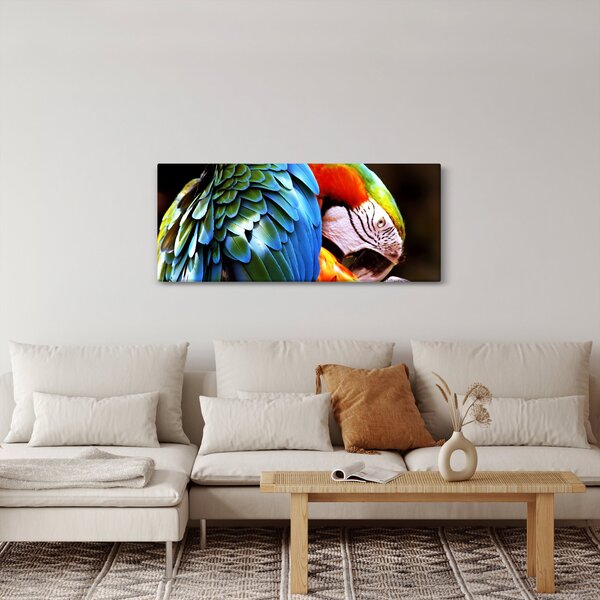 Slika - Papiga (120x50 cm)