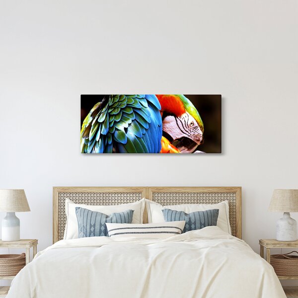 Slika - Papiga (120x50 cm)