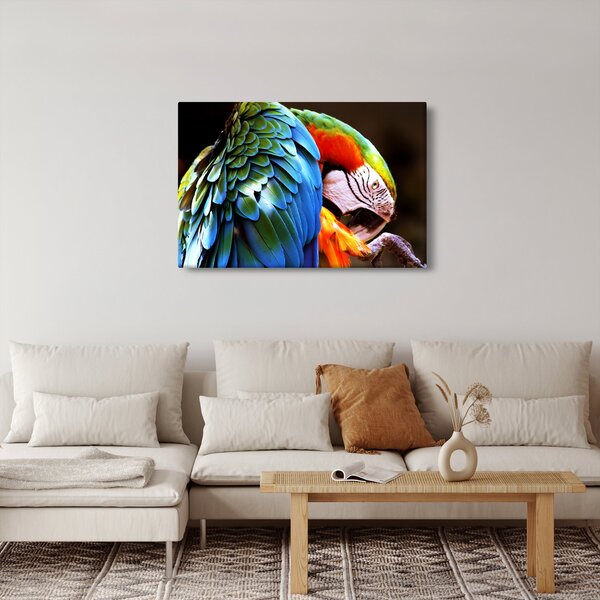 Slika - Papiga (90x60 cm)