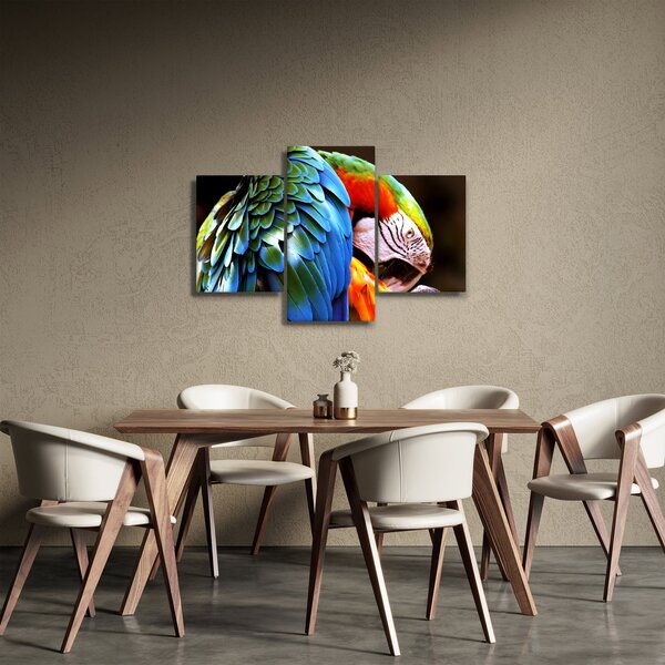 Slika - Papiga (90x60 cm)