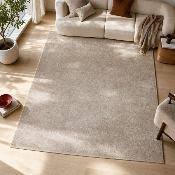 Sivi/bež tepih 160x230 cm – Universal