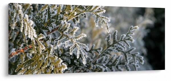 Slika - detalj grane (120x50 cm)
