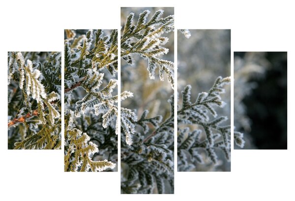 Slika - detalj grane (150x105 cm)