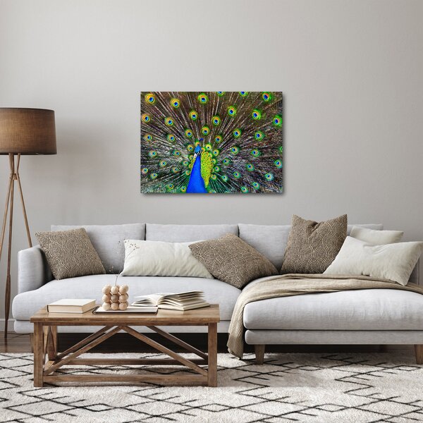 Slika - Paun (70x50 cm)