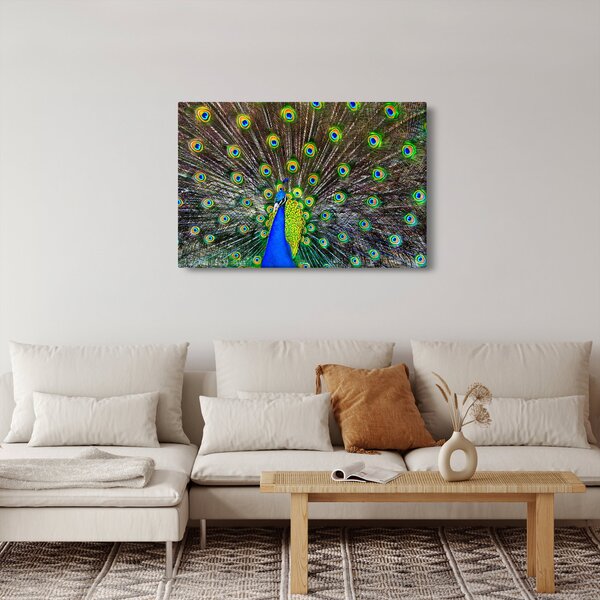 Slika - Paun (90x60 cm)