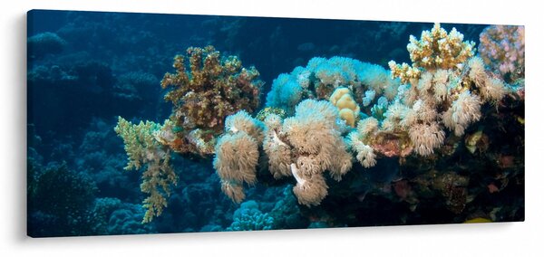 Slika - U oceanu (120x50 cm)