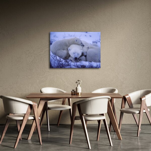 Slika - Polarni medvjedi (70x50 cm)