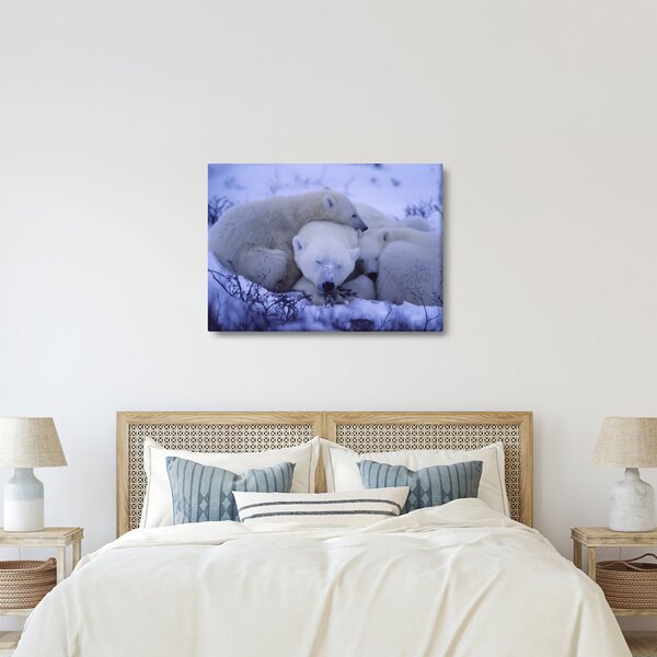 Slika - Polarni medvjedi (70x50 cm)