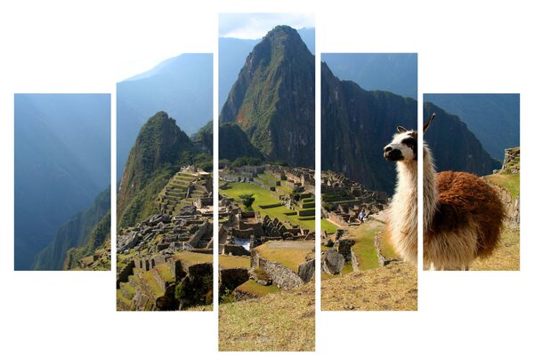 Slika - Lama i Machu Picchu (150x105 cm)