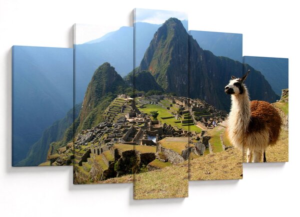 Slika - Lama i Machu Picchu (150x105 cm)