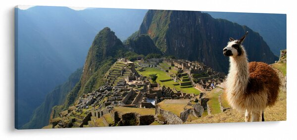 Slika - Lama i Machu Picchu (120x50 cm)