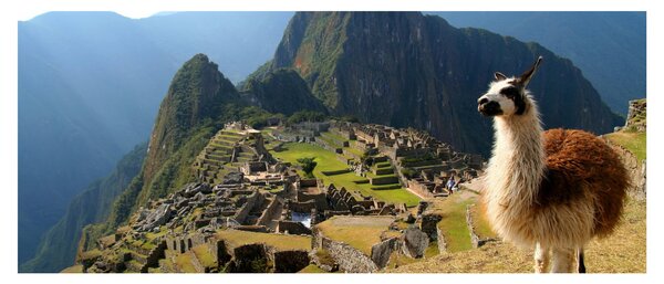 Slika - Lama i Machu Picchu (120x50 cm)