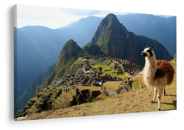Slika - Lama i Machu Picchu (90x60 cm)