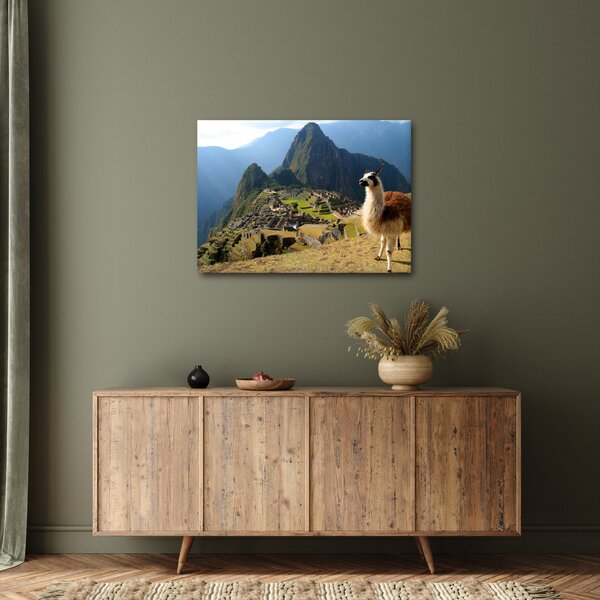 Slika - Lama i Machu Picchu (70x50 cm)