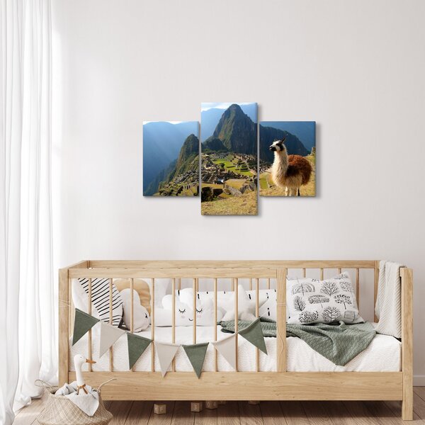 Slika - Lama i Machu Picchu (90x60 cm)