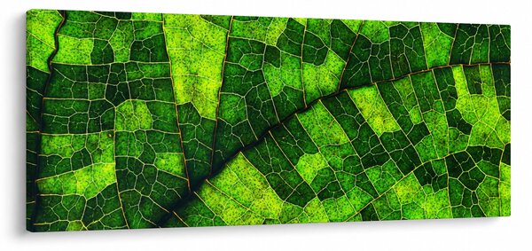 Slika - Detalj lista (120x50 cm)