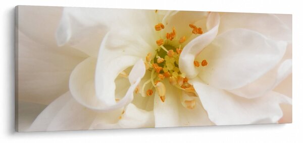 Slika - Cvijet (120x50 cm)