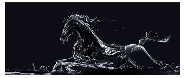 Slika - Konj i voda (120x50 cm)
