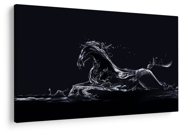 Slika - Konj i voda (90x60 cm)