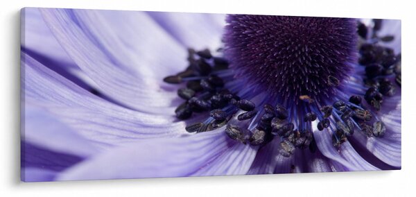 Slika - Ljubičasti cvijet (120x50 cm)