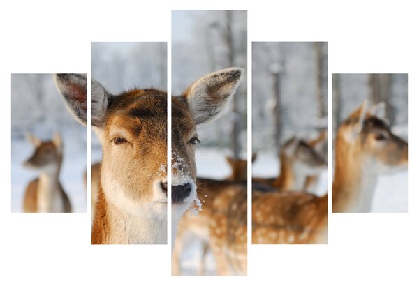 Slika -Bambi (150x105 cm)
