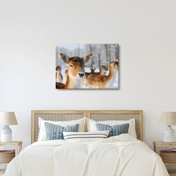 Slika -Bambi (70x50 cm)