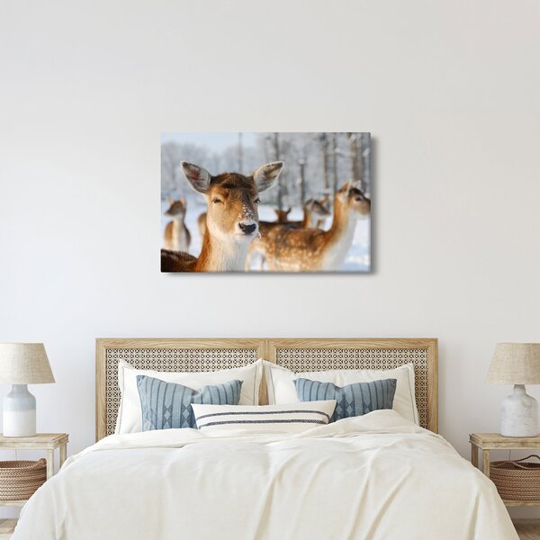 Slika -Bambi (90x60 cm)