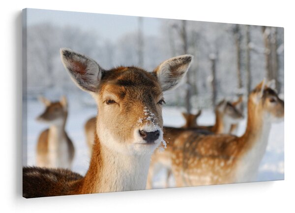 Slika -Bambi (90x60 cm)