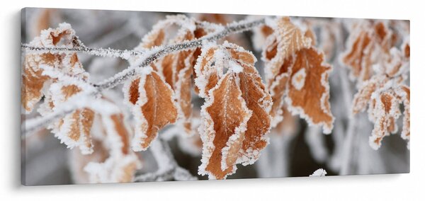 Slika - Smrznuto lišće (120x50 cm)