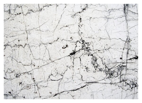 Slika - Zid (70x50 cm)