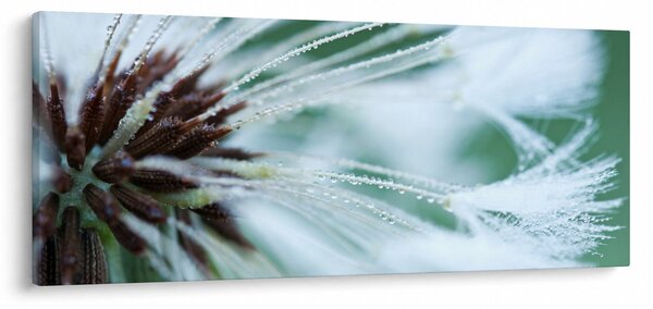 Slika - Detalj cvijeta (120x50 cm)