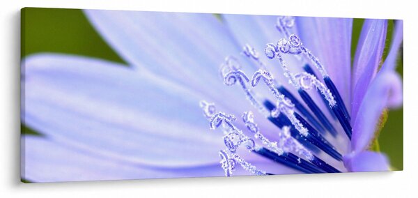 Slika - cvijet (120x50 cm)