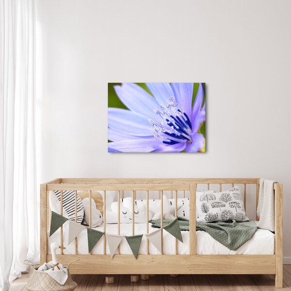 Slika - cvijet (70x50 cm)