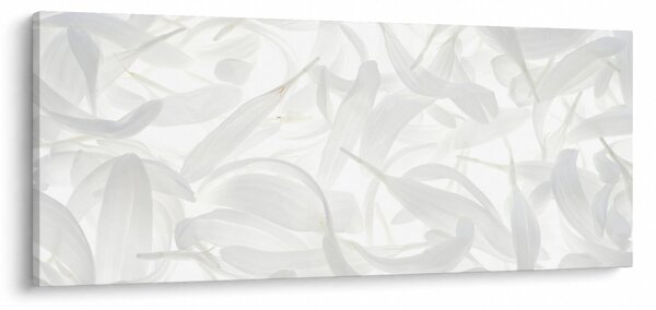 Slika - Latice cvijeta (120x50 cm)