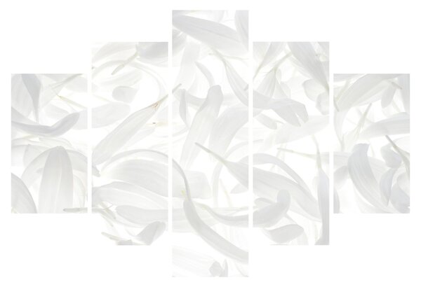Slika - Latice cvijeta (150x105 cm)