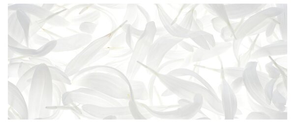 Slika - Latice cvijeta (120x50 cm)