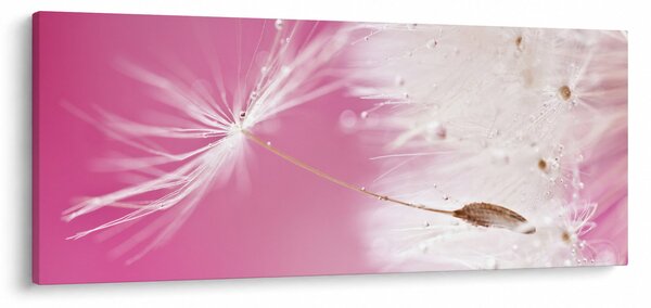 Slika - Makro cvijet (120x50 cm)