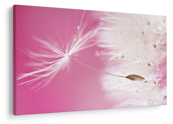 Slika - Makro cvijet (90x60 cm)