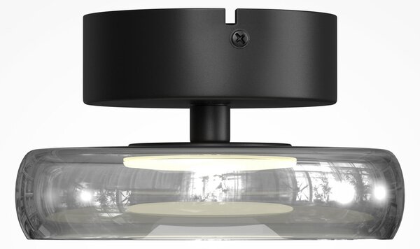 Maytoni LED stropna svjetiljka FLOAT, siva/crna, Ø 20 cm, staklo/metal, prigušiva, Sivo, Dnevni boravak/blagovaonica, Staklo