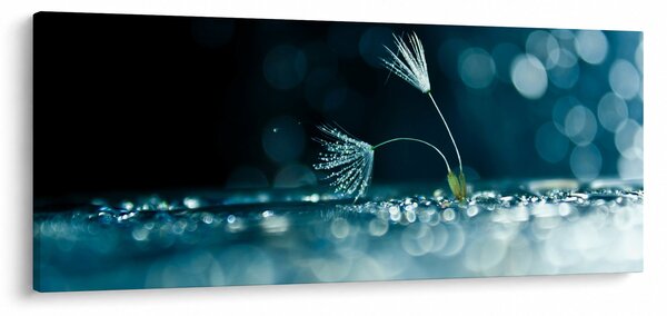 Slika - Makro (120x50 cm)