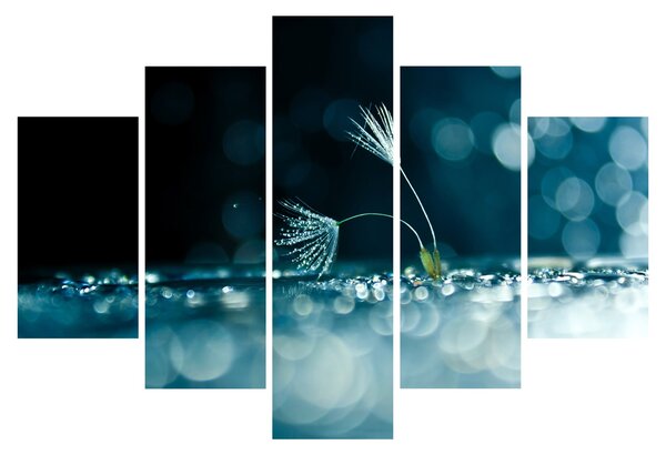 Slika - Makro (150x105 cm)