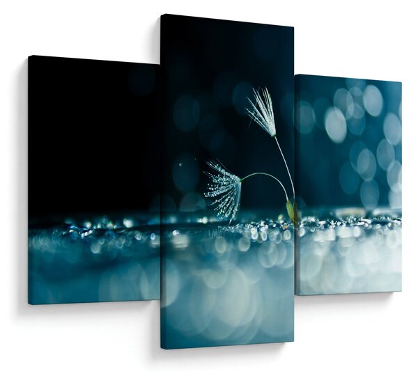 Slika - Makro (90x60 cm)