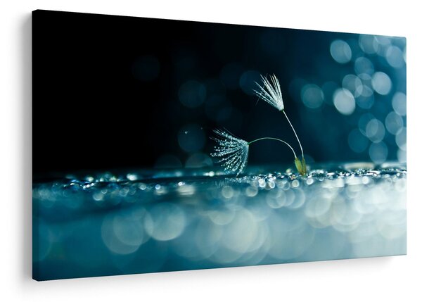 Slika - Makro (90x60 cm)