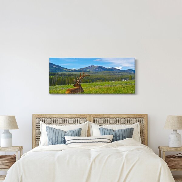 Slika - Jelen na livadi (120x50 cm)