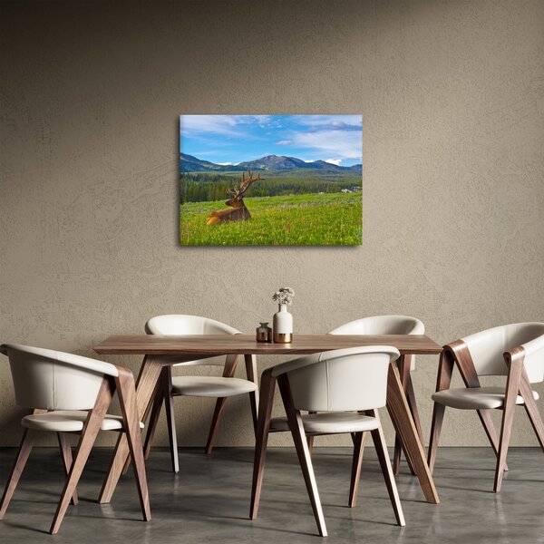 Slika - Jelen na livadi (70x50 cm)