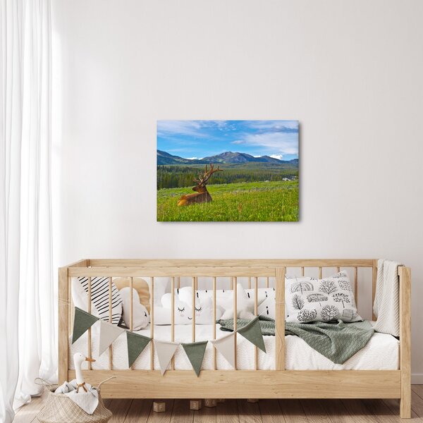 Slika - Jelen na livadi (70x50 cm)