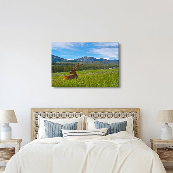 Slika - Jelen na livadi (90x60 cm)