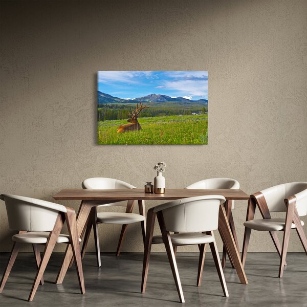 Slika - Jelen na livadi (90x60 cm)