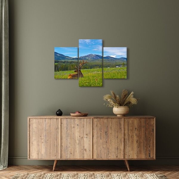 Slika - Jelen na livadi (90x60 cm)