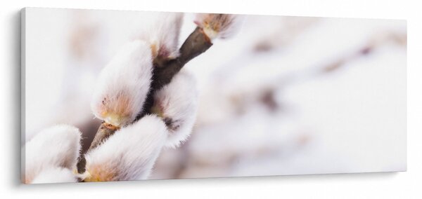 Slika - Grana s macicama vrbe ive (120x50 cm)